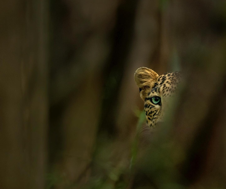 Gallery of Photography by Mithun Hunugund