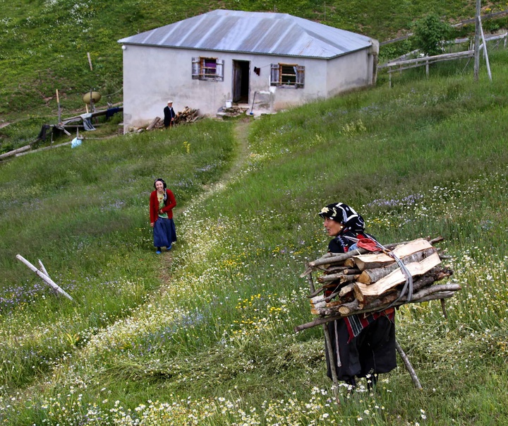 Gallery of photography by Mustafa Shahbaz - Turkey