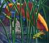 Gallery of Painting by Leonard Koscianski - USA
