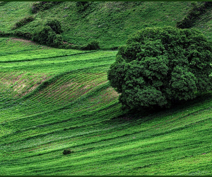 Gallery of photography by Sadegh Miri-Iran