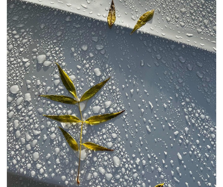 Gallery of Photography by Charlotte Laboyrie