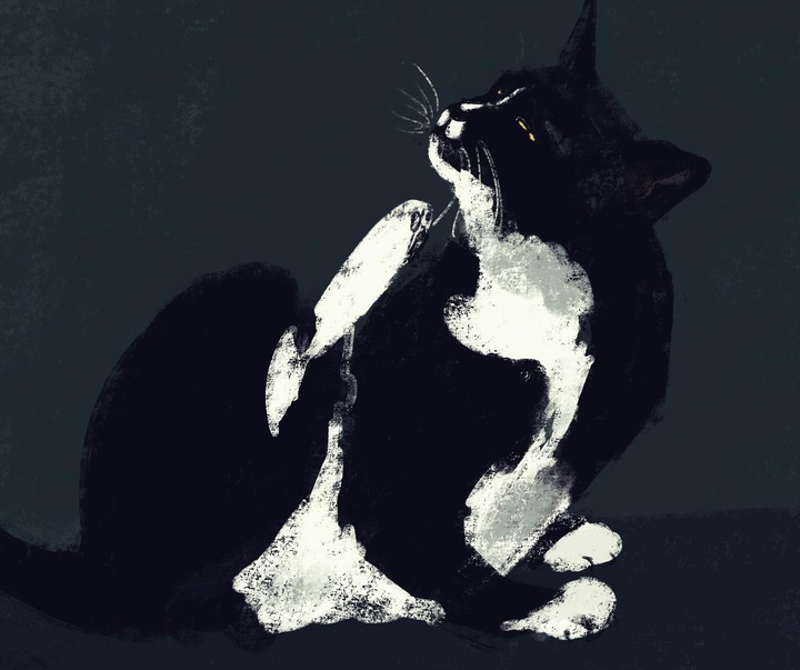 Gallery of Illustration by Jenny Bloomfield - UK
