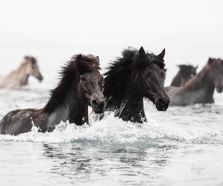 Gallery of Photography by Gigja Einars - Iceland