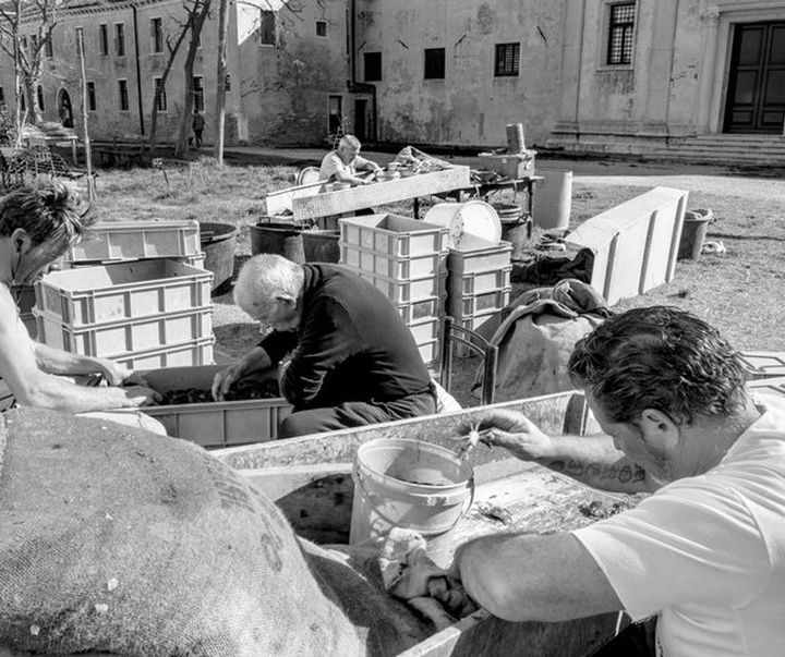 Gallery of Photography by Marc De Tollenaere - Italy