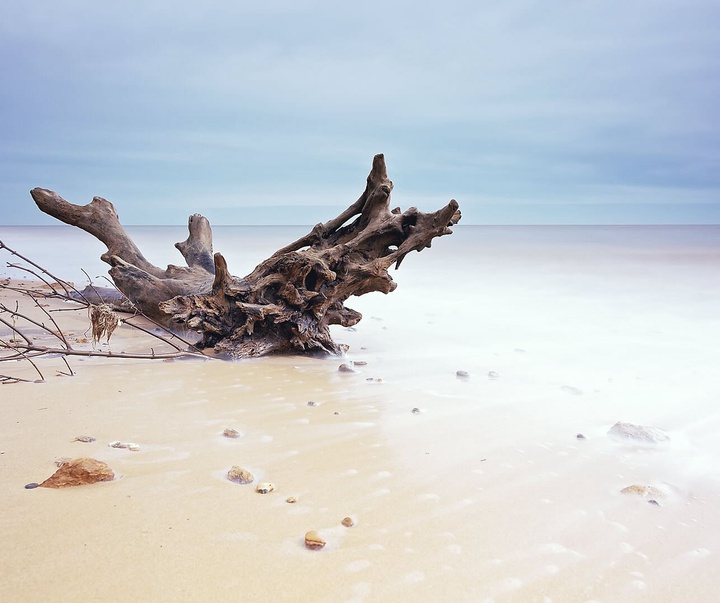 Gallery of Photography by Emma Steele