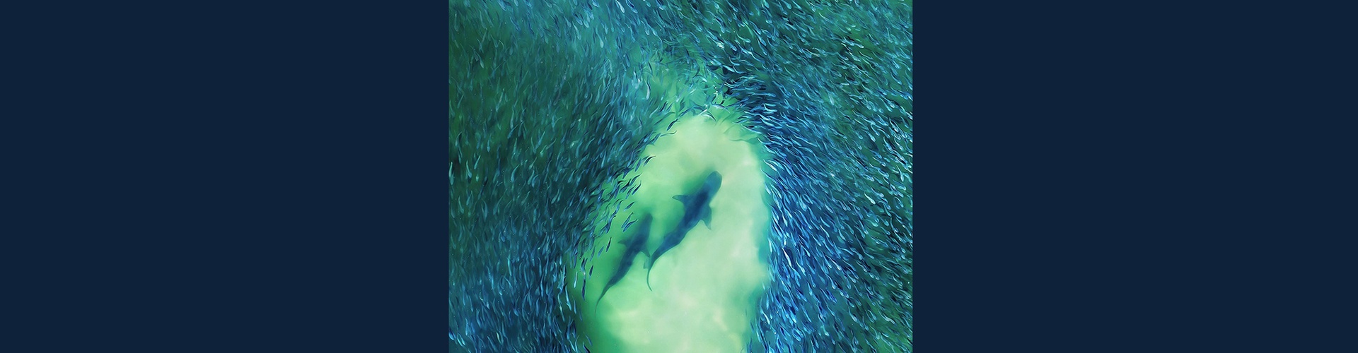 Gallery of Photography by Joanna Steidle - USA