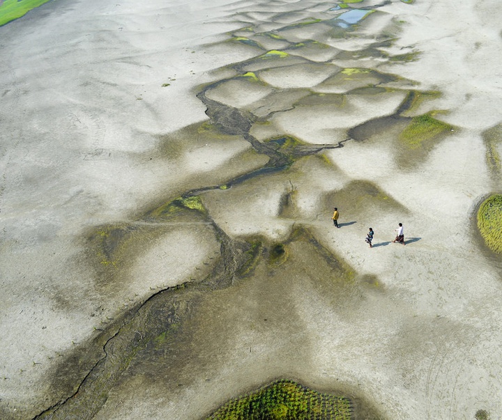 Gallery of Photography by Shamim Shorif Susom - Bangladesh