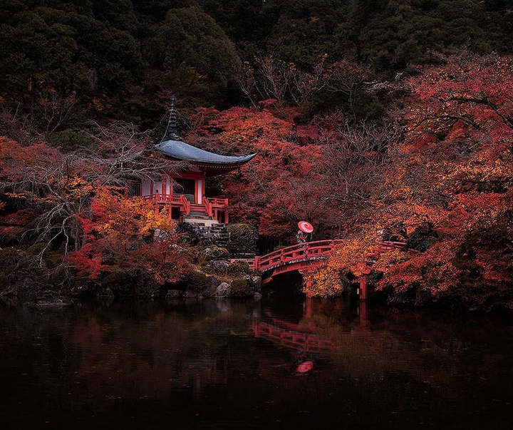 Gallery of Photography by Juan Solís