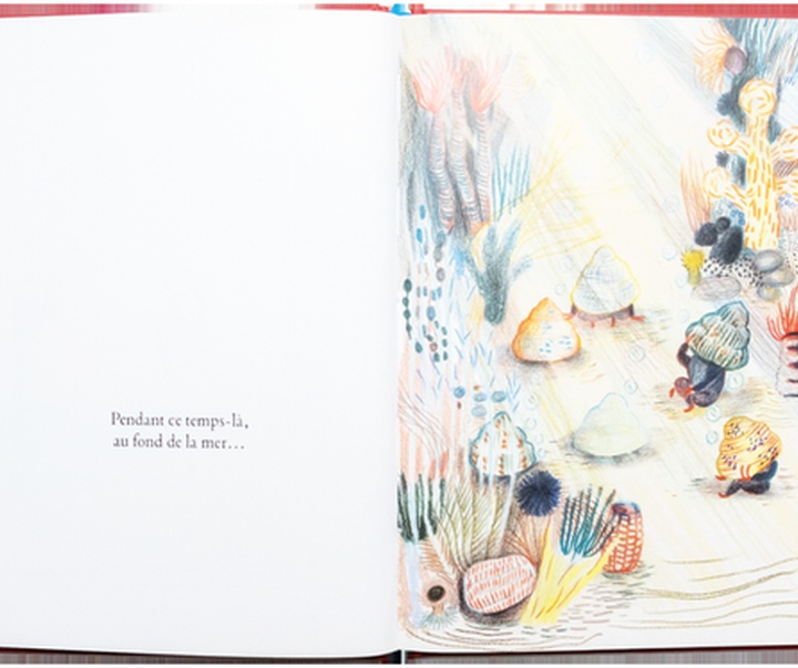 Gallery of Illustration by Kitty Crowther - Belgium
