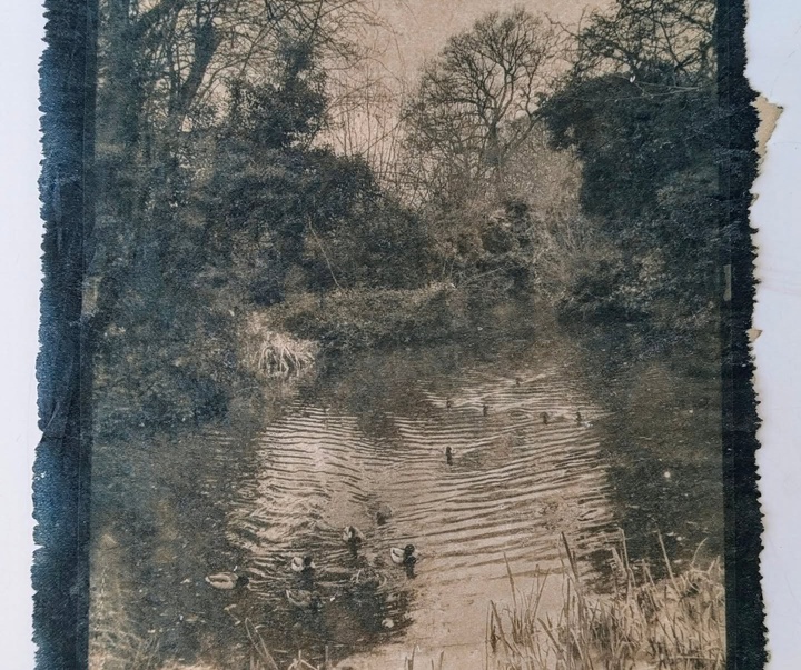 Gallery of Painting & Photography by Jane Constable - UK