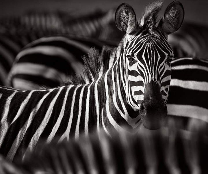 Gallery of Photography by Drew Doggett - USA