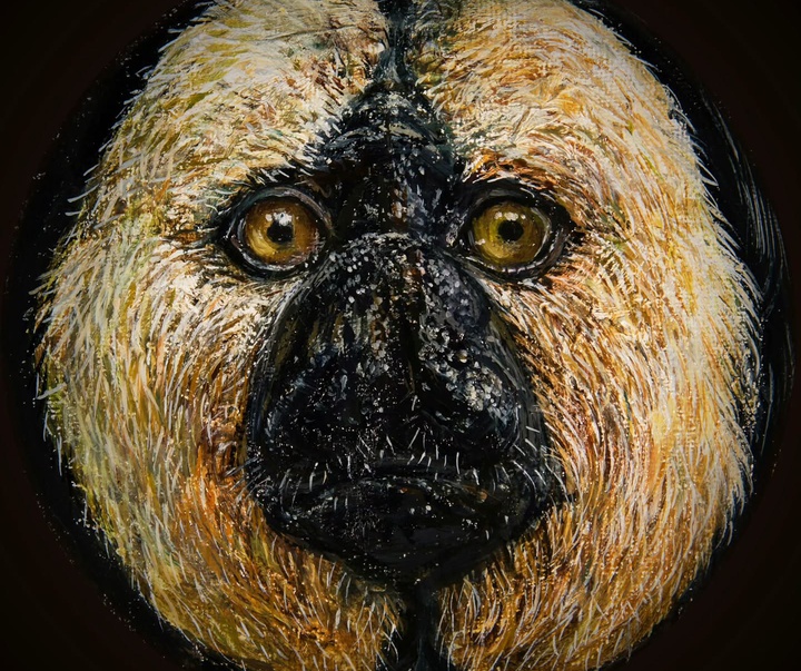 Gallery of Painting by Tomohiro Takagi - Japan
