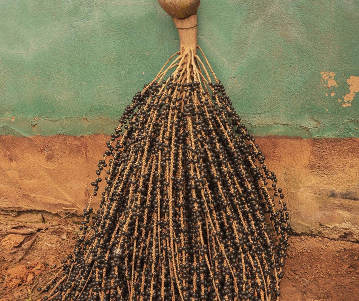 Gallery of Photography by Luisa Dörr - Brazil