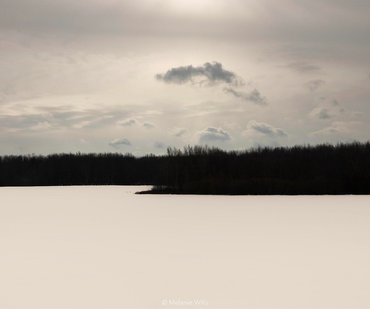Gallery of Photography by Melanie Wills - Canada