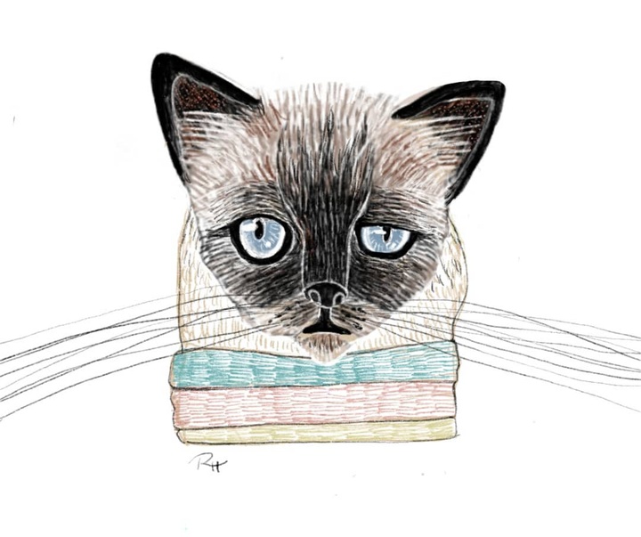 Gallery of Illustration by Rahele HasanZade-Iran