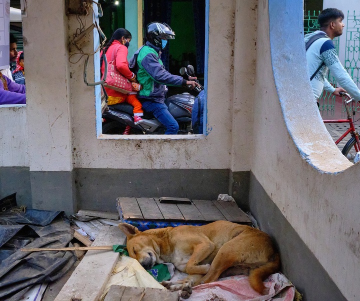 Gallery of Photography by Subhran Karmakar-India