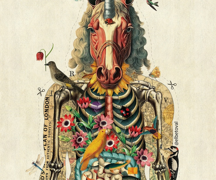 Gallery of Illustration by Beto Valencia - Ecuador