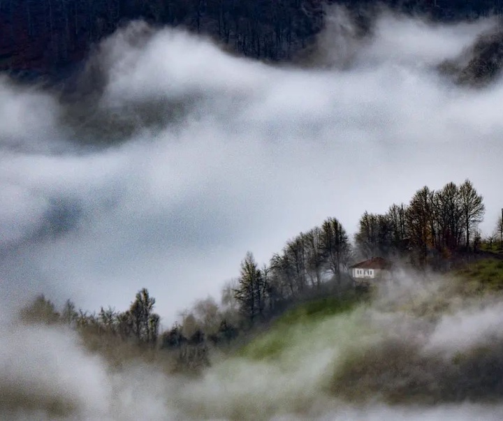 Gallery of photography by Niyazi Gurgen-Turkey