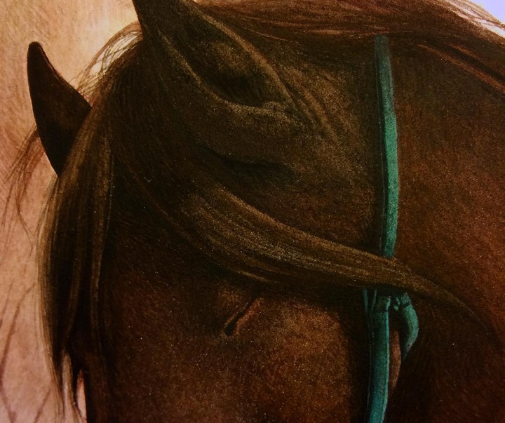 Gallery of Illustration by Rebecca Dautremer - France