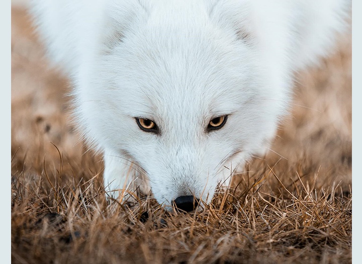 Gallery of Photography by Dani Guindo - Spain