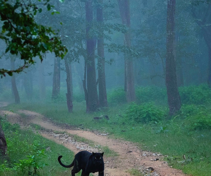 Gallery of Photography by Mithun Hunugund
