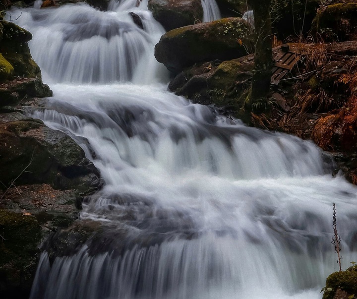 Gallery of Photography by Paulo Alves - Portugal