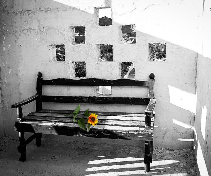 Gallery of photography by Ramleh Kargar-Iran