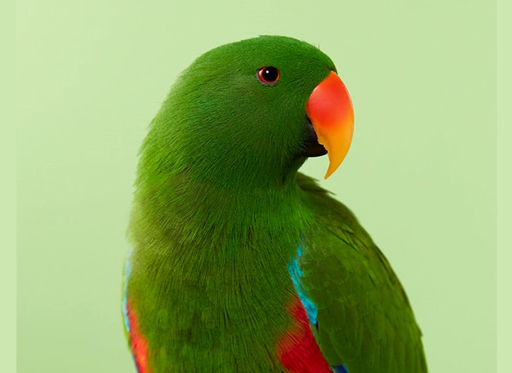 Gallery of Photography by Danny Eastwood - Australia