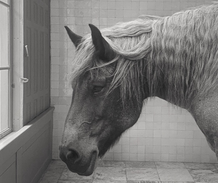 Gallery of Photography by René Dissel - Netherlands