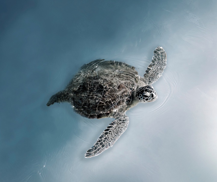 Gallery of Photography by Joanna Steidle - USA