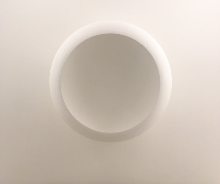 Gallery of Sculpture by Anish Kapoor - India