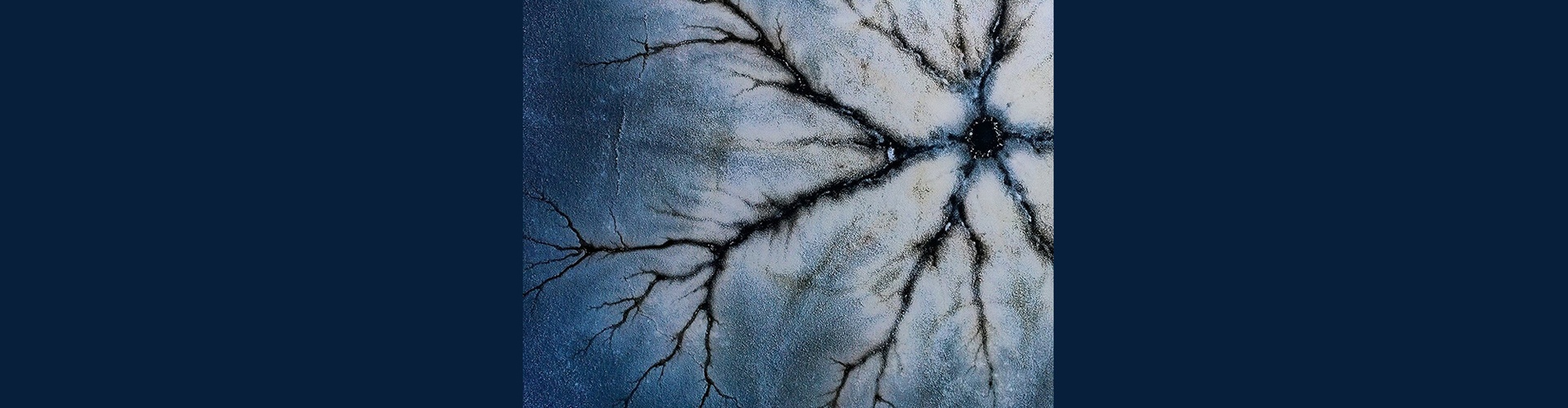 Gallery of Photography by Marcin Giba - Poland