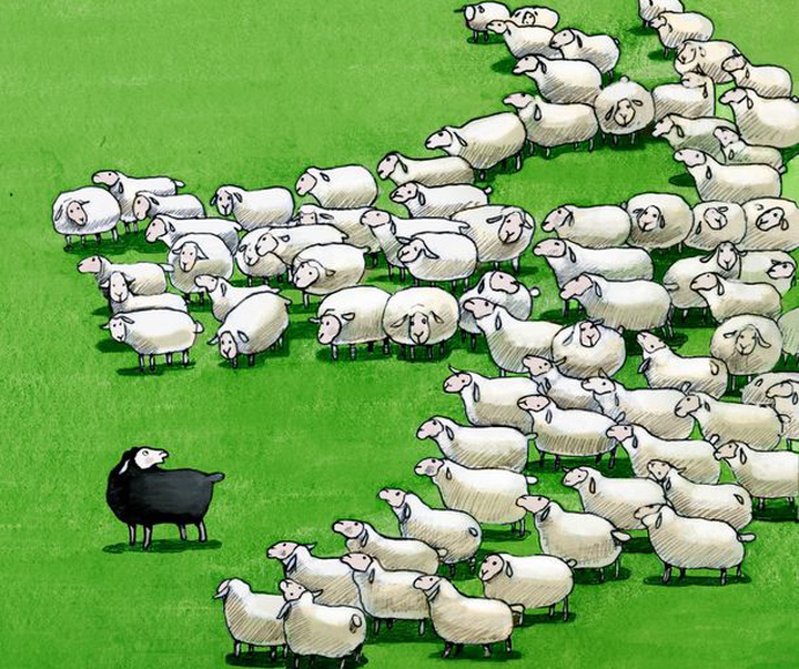 Gallery of illustration & Cartoon by Cristina Berzzani-Italy