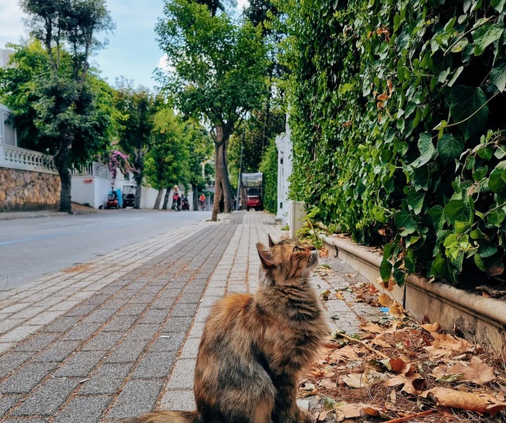 Gallery of Photography by Ahmet Erdem - Turkey