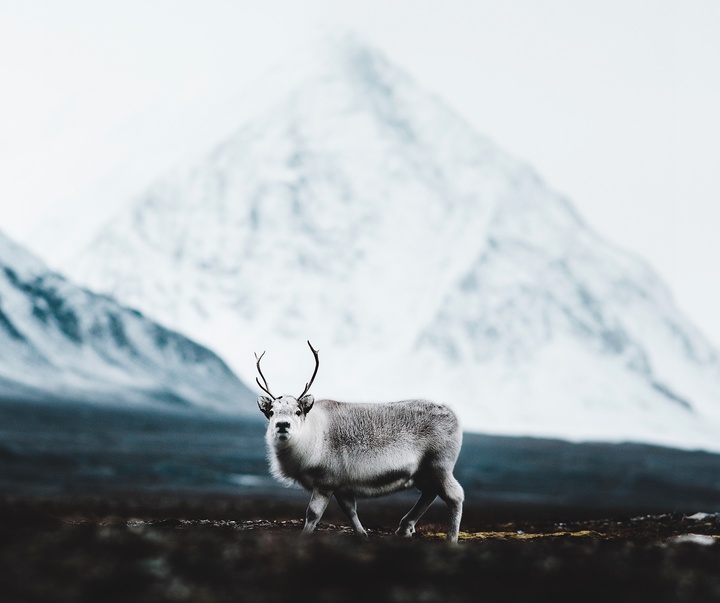 Gallery of Photography by Benjamin Hardman - Iceland