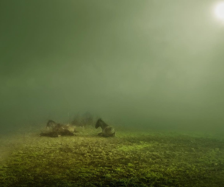 Gallery of Photography by Henri Prestes - Portugal