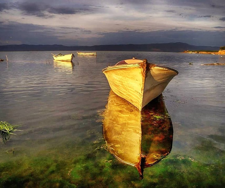 Gallery of photography by Dr.Aylin Yildirim - Turkey