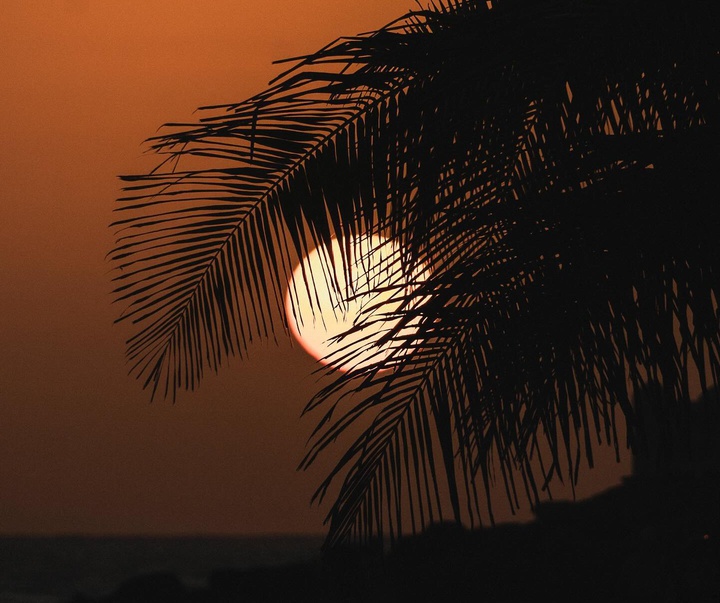 Gallery of Photography by Lawrence Walton - UK