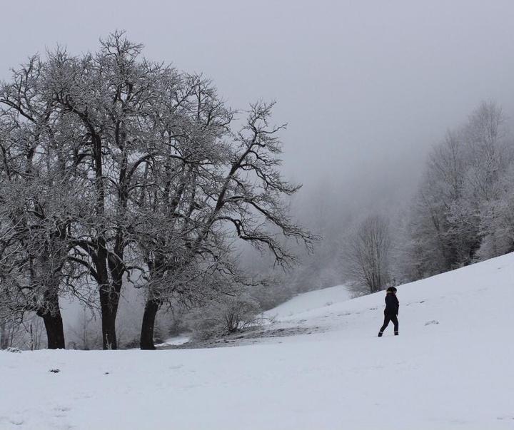 Gallery of photography by Asli Karabiçak - Turkey