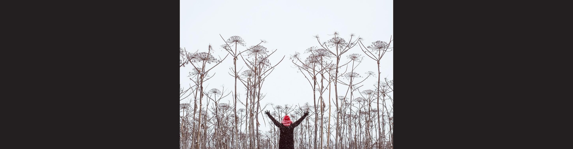 Gallery of photography by Kostya Terentev - Russia