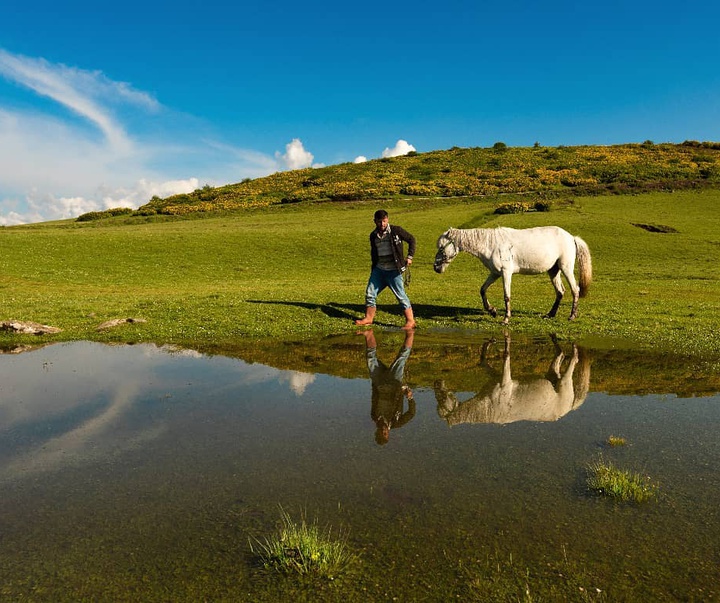 Gallery of photography by Niyazi Gurgen-Turkey