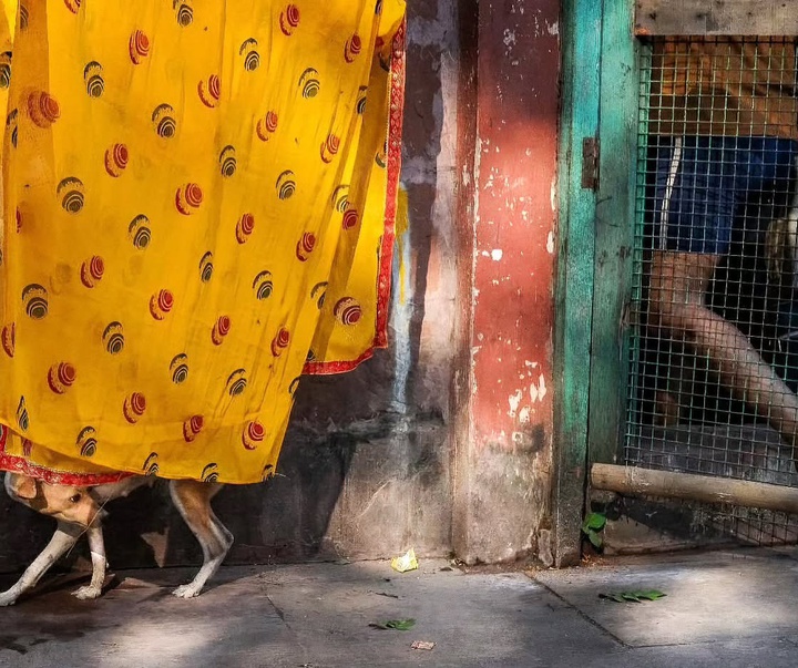 Gallery of Photography by Rachel Chung - Singapore