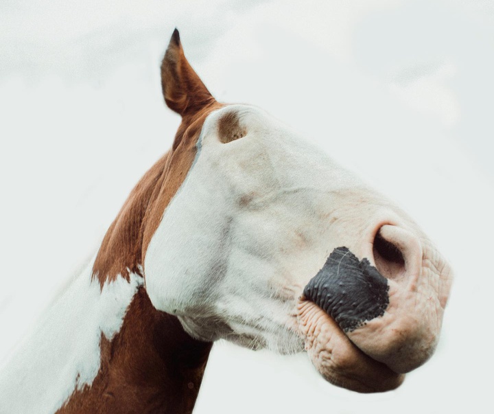 Gallery of Photography by Abbey Bratcher Parish - USA