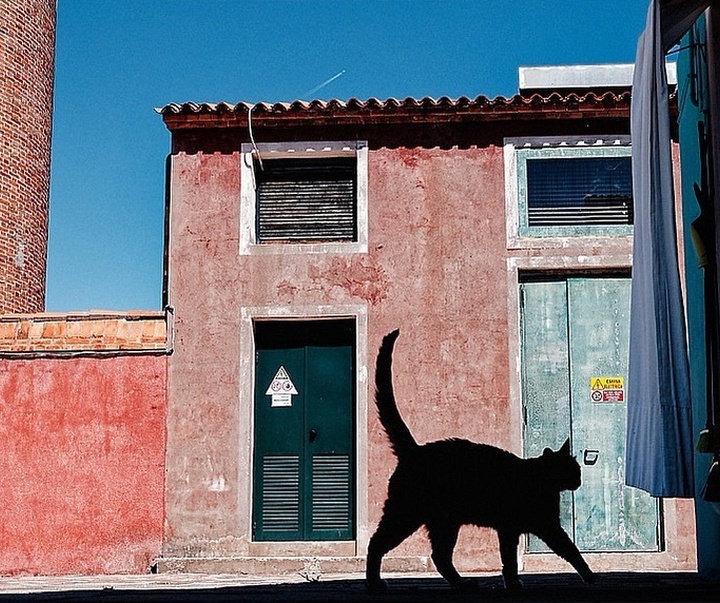 Gallery of Photography by Mirko Saviane - Italy