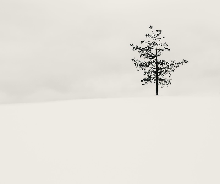 Gallery of Photography by Kalle Saarikko - Finland