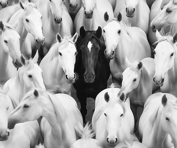 Gallery of Photography by Helena Georgiou - Cyprus
