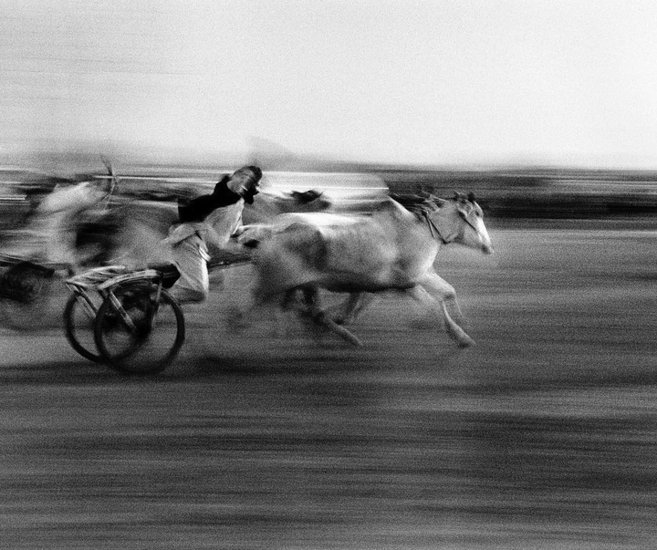 Gallery of Photography by Walter Rothwell - UK