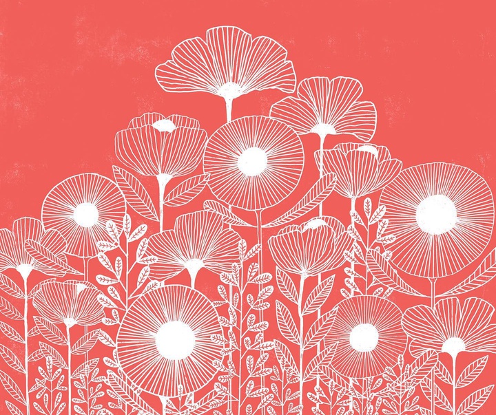 Gallery of Illustration by Lisa Congdon-USA