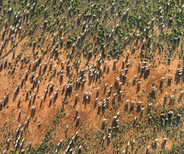 Gallery of Photography by James Harrison - Australia