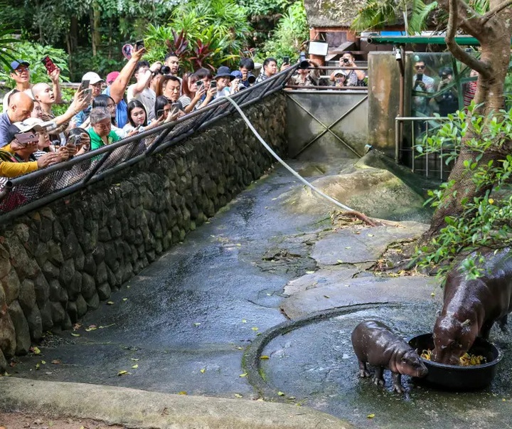 Gallery of the Best Photos of 2024
